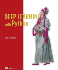Image of e-Book - Deep Learning with Python (First Edition)